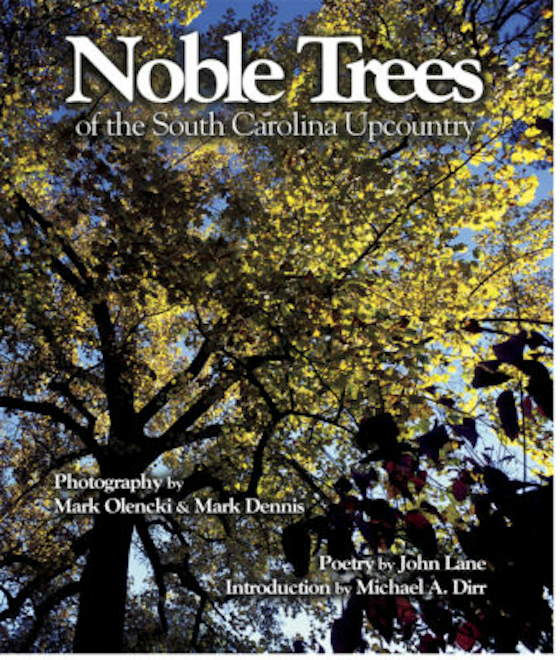 Noble Trees of the South Carolina Upcountry Local Hub City Writers