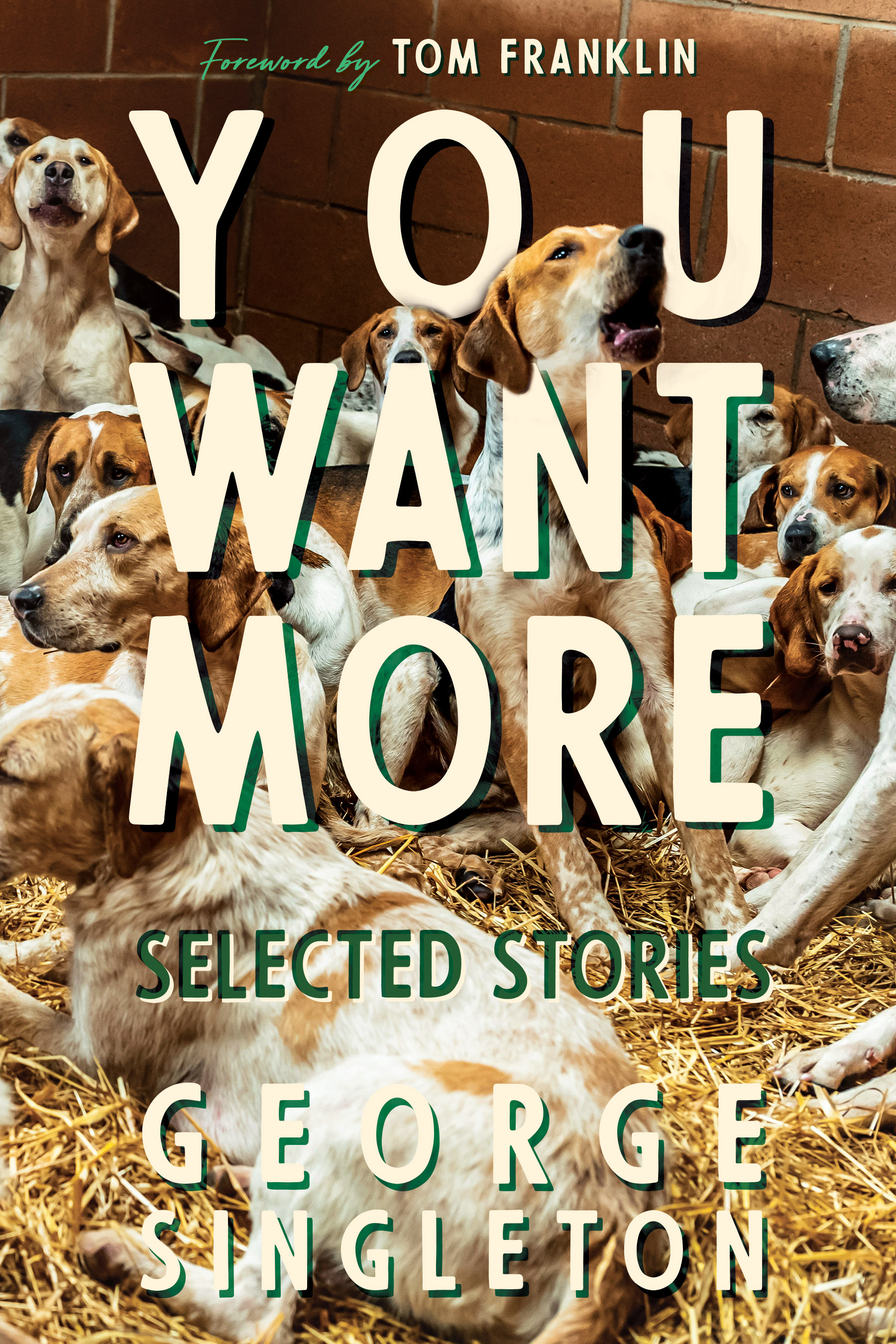 You Want More: Selected Stories of George Singleton